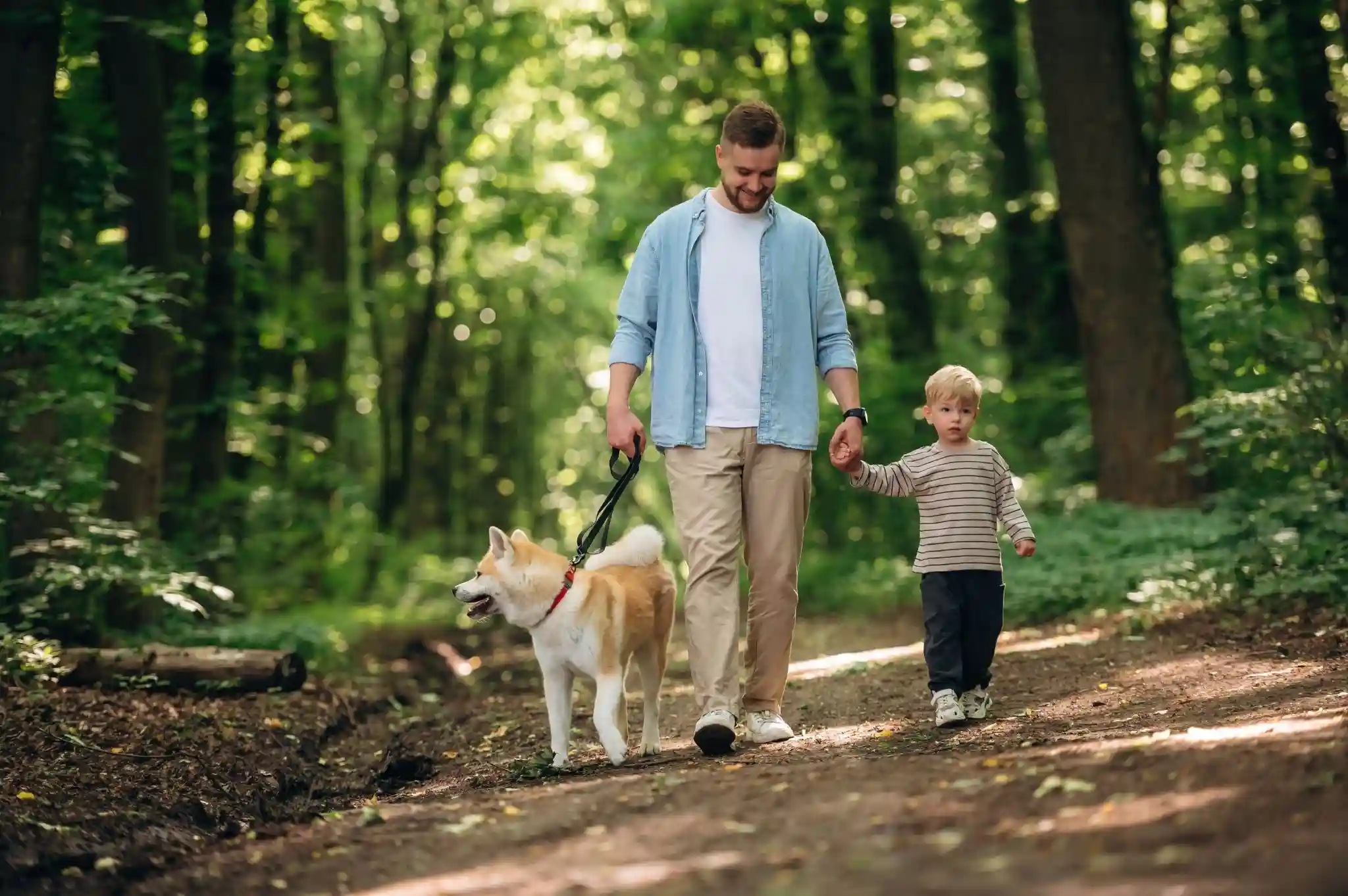 hiking with kids and pets